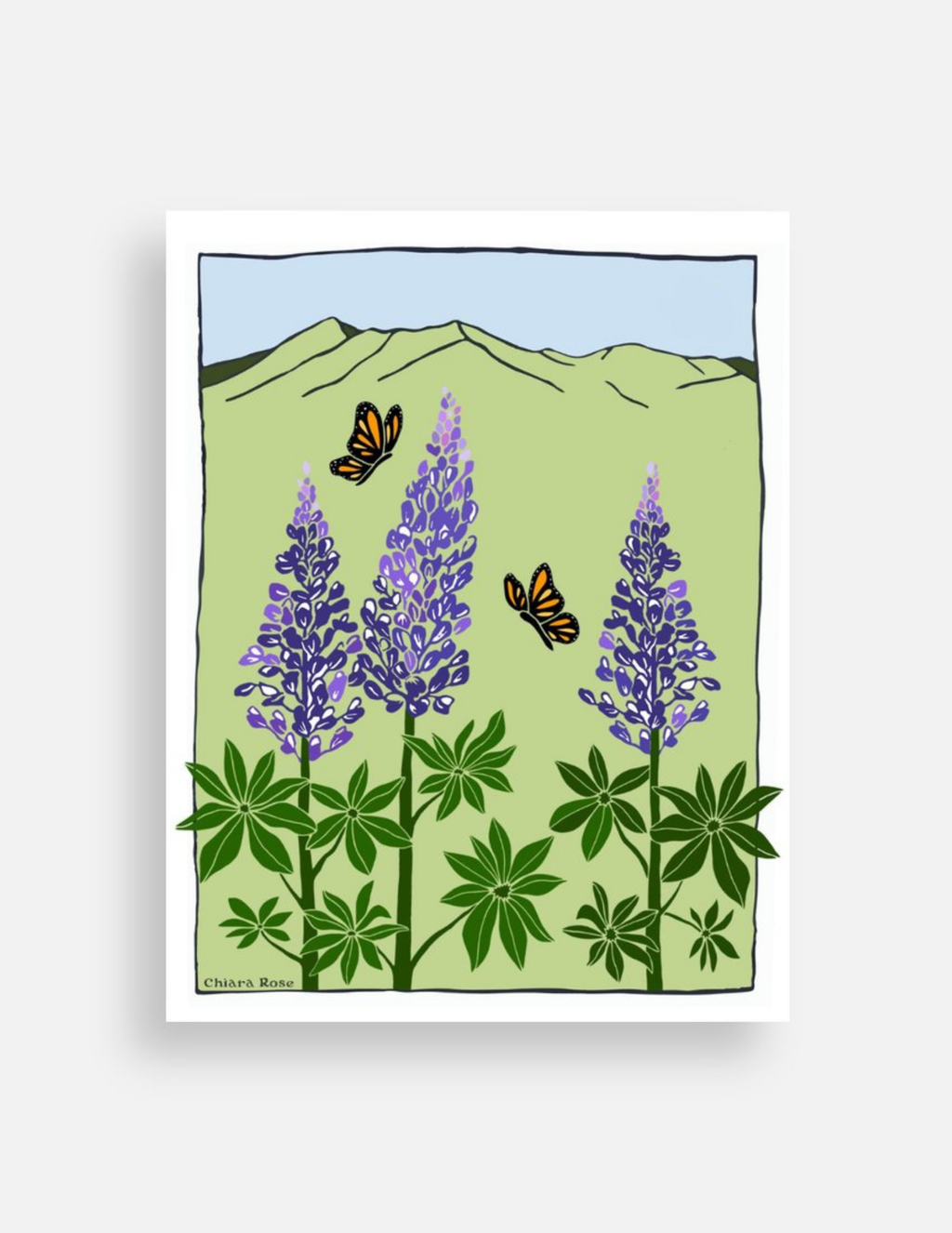 Lupin Postcard