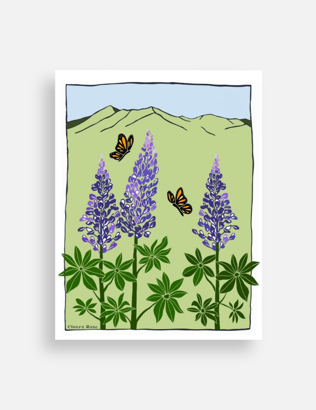 Lupin Postcard