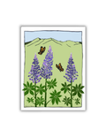 Lupin Postcard