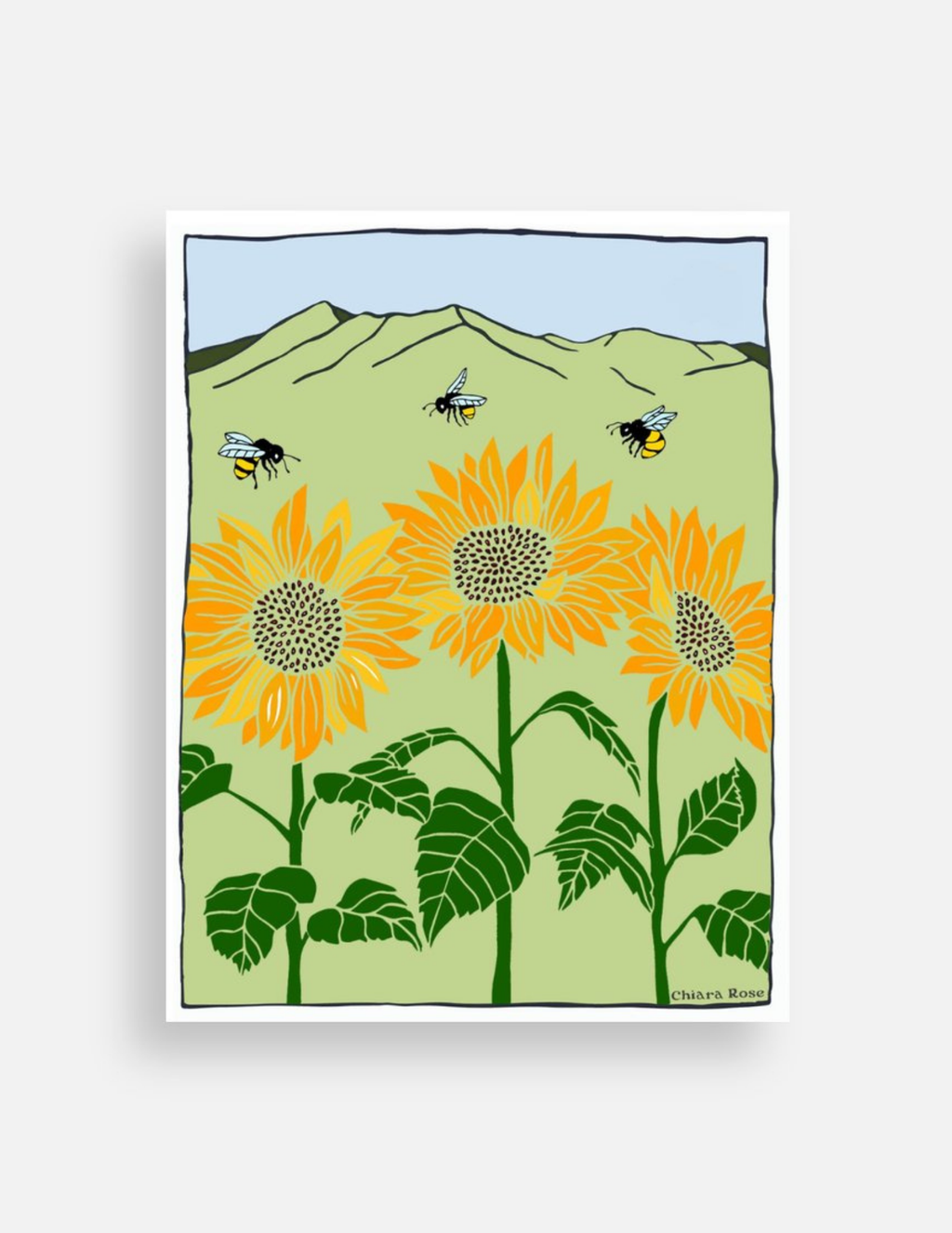 Sunflower Postcard