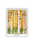 Aspen Postcard