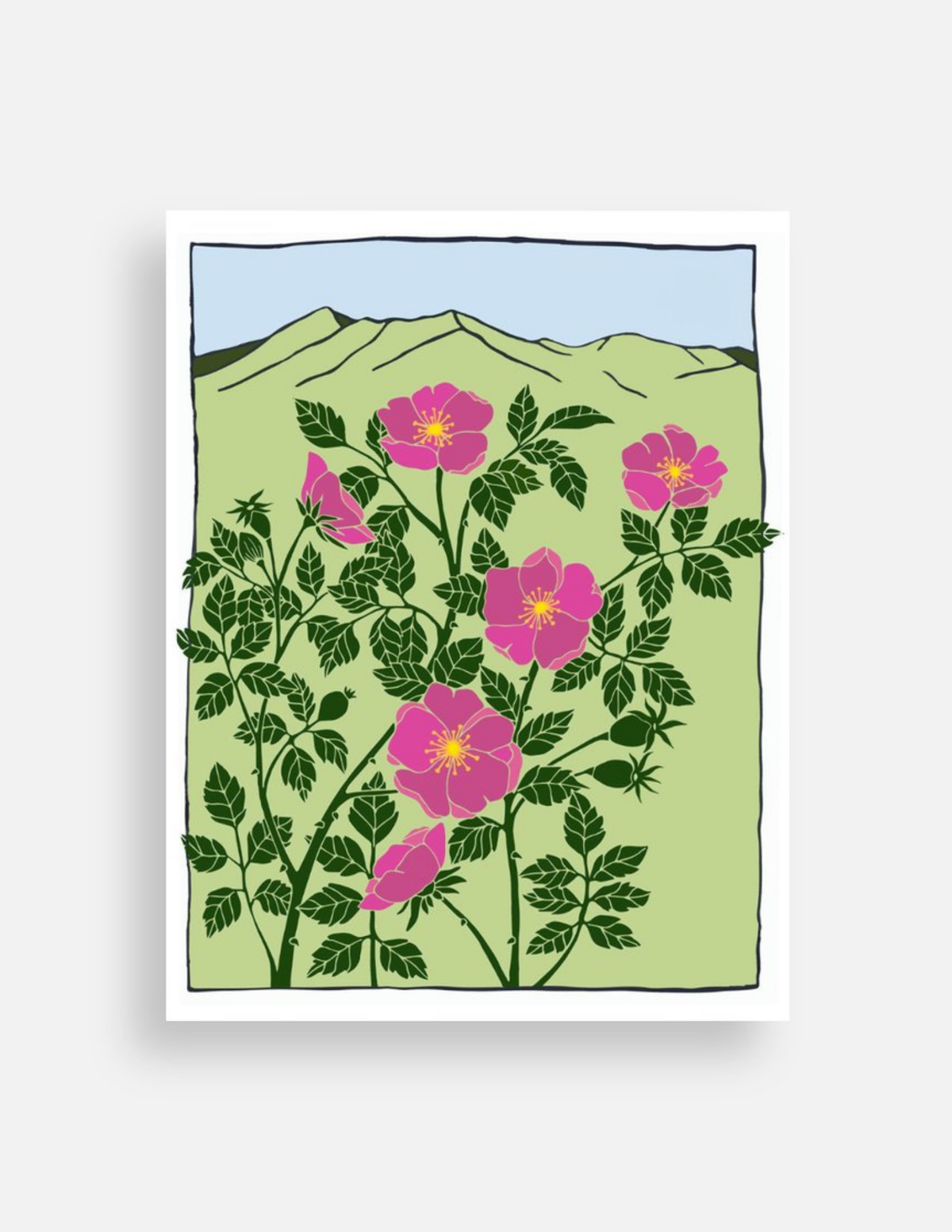 Wild Rose Postcard