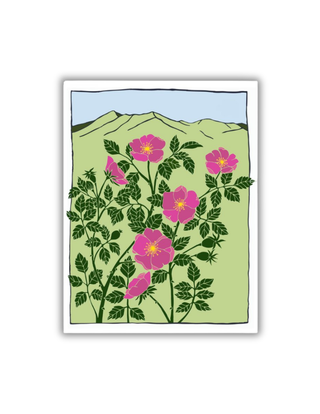 Wild Rose Postcard