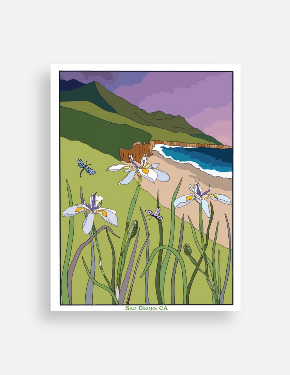 Ocean View Postcard
