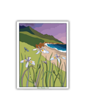 Ocean View Postcard