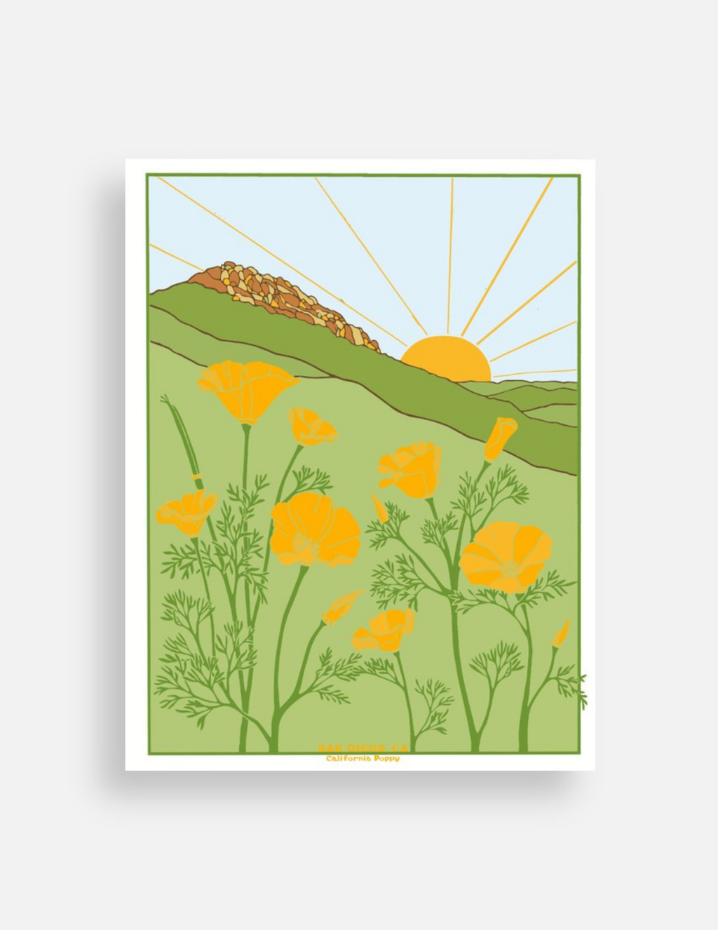 California Poppy Postcard