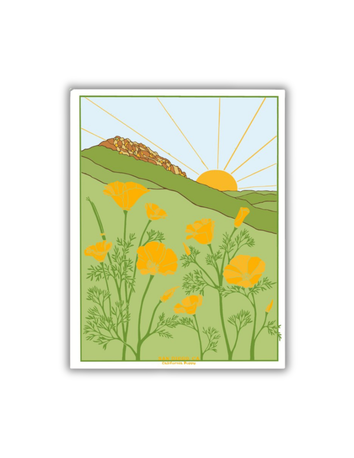 California Poppy Postcard