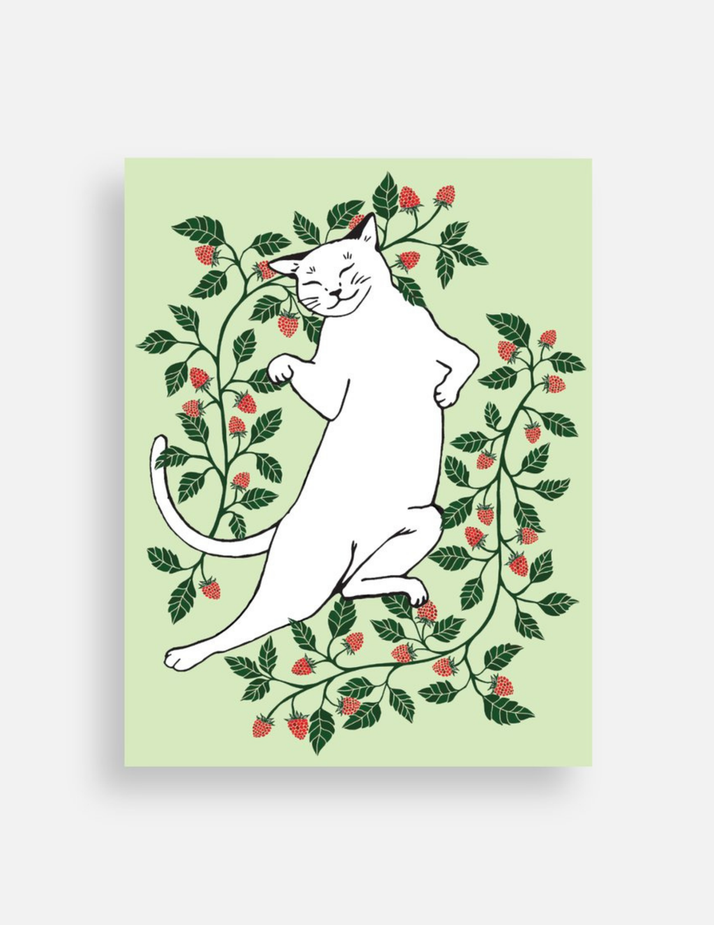 Cat Postcard