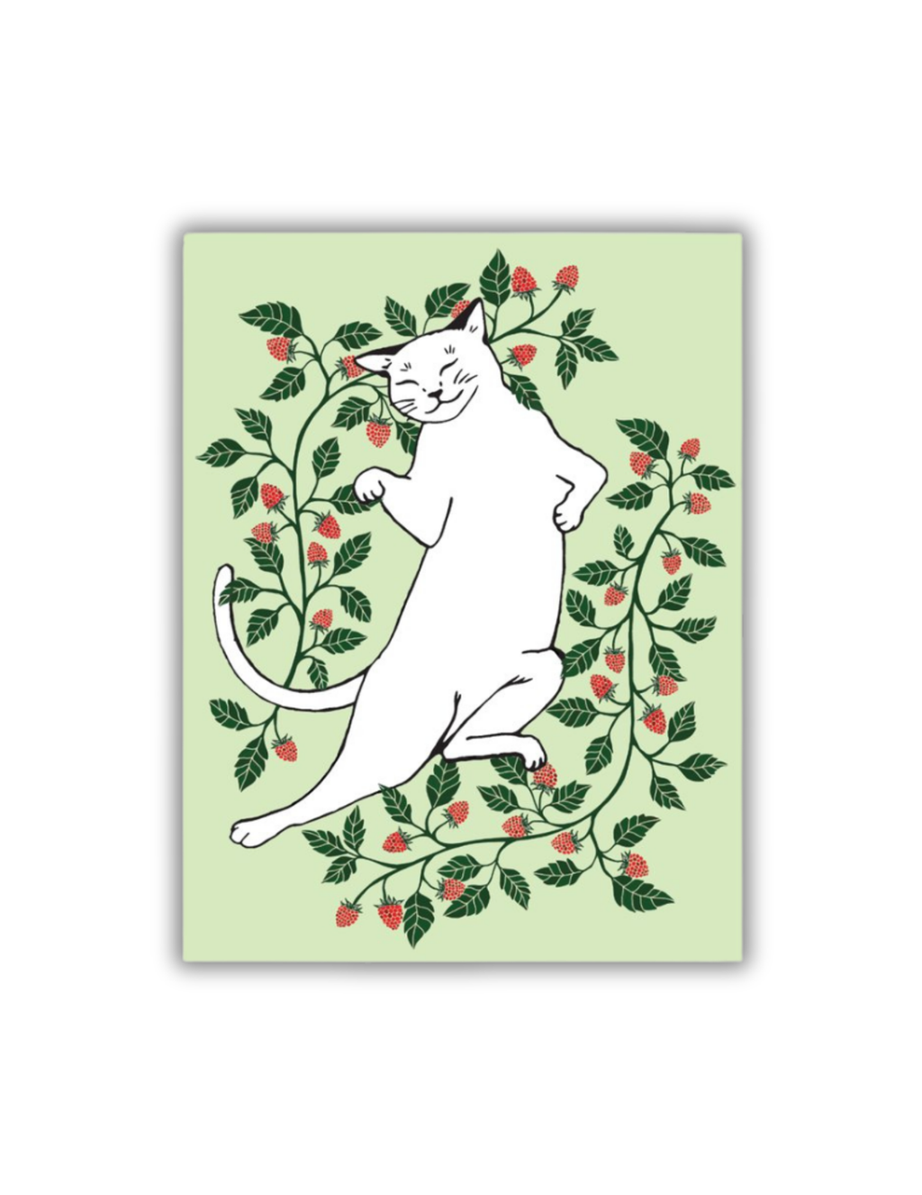 Cat Postcard