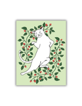Cat Postcard