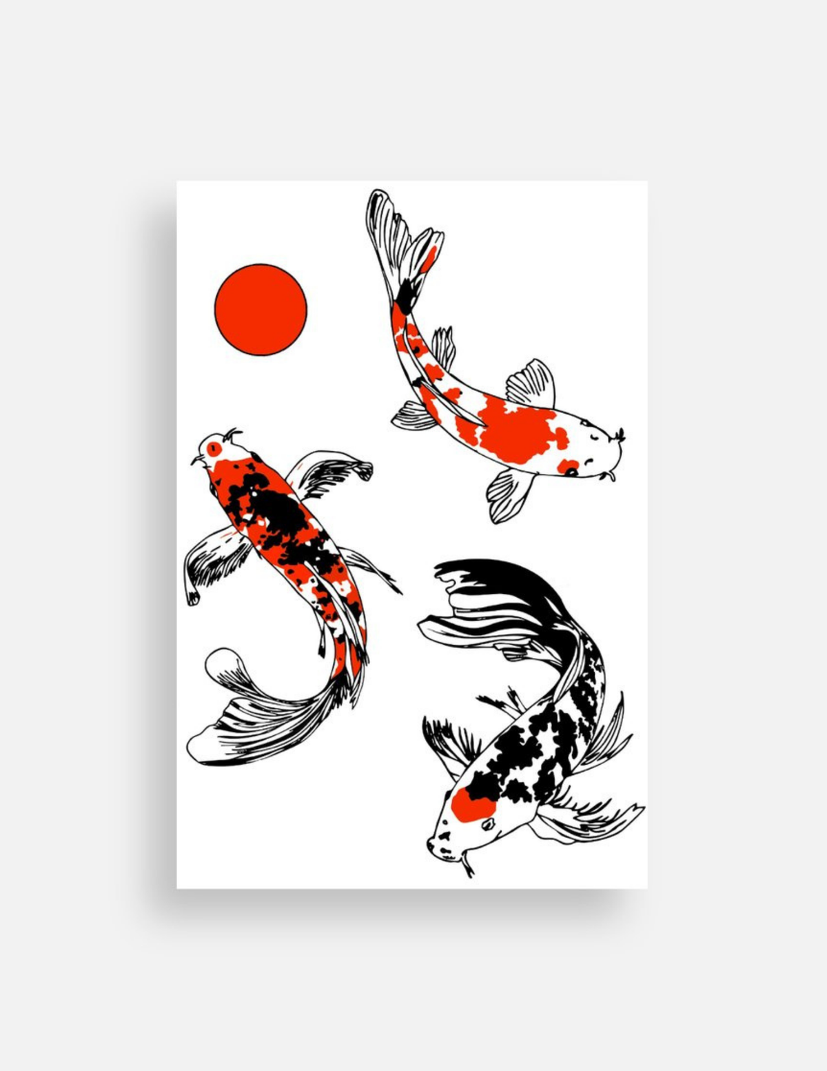 Koi Postcard