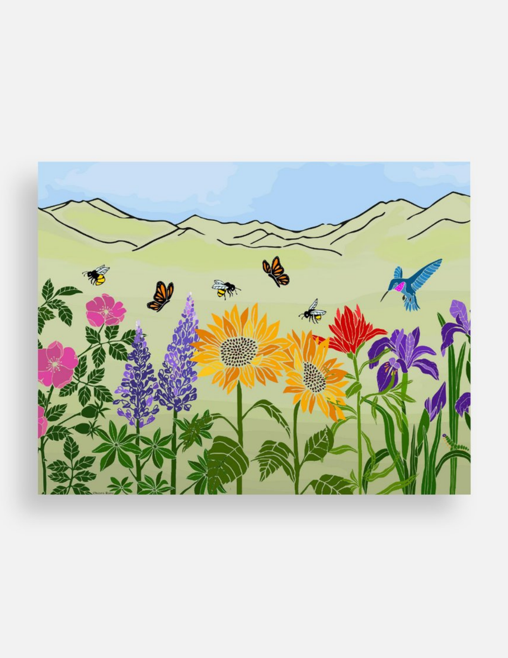Flower Scene Postcard