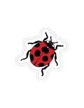 Ladybug Sticker