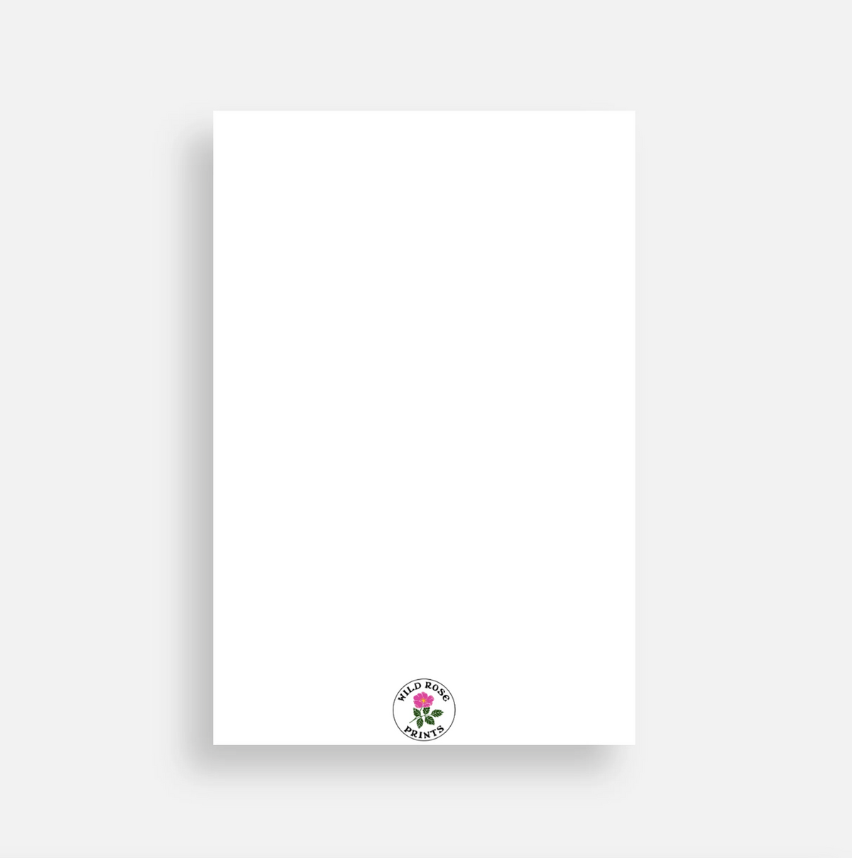 Pomegranate Postcard